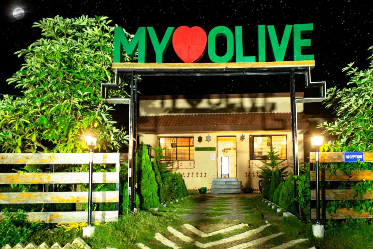 Olive Resort - Sillari Pench Silari Exterior photo